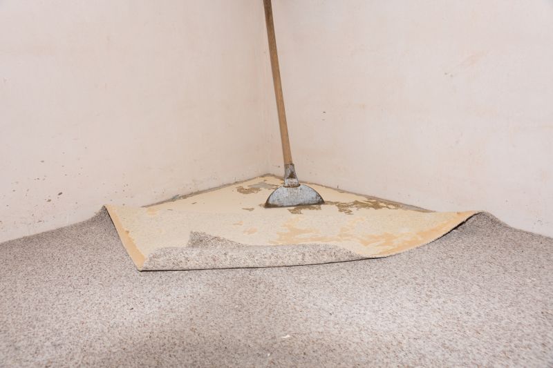 Carpet Foam Replacement in Alpharetta, GA