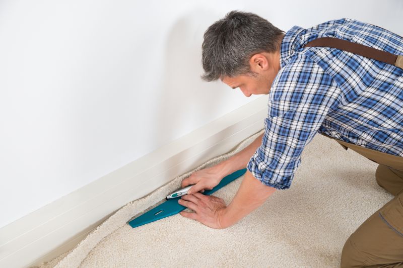 Carpet Dyeing Service